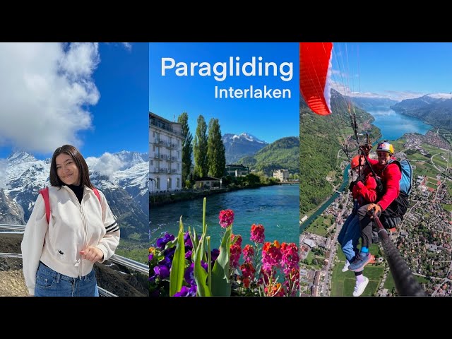 🪂 Paragliding in Interlaken & Grindelwald 🇨🇭 Switzerland Travel Vlog