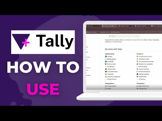 How To Use Tally so Beginner Tutorial