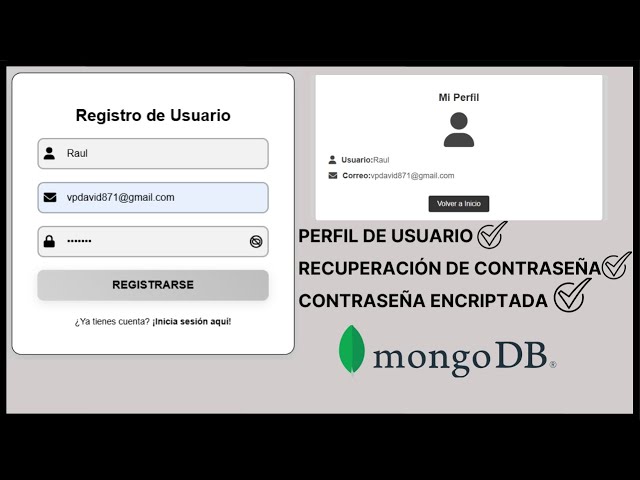 CÓMO HACER UN LOGIN FUNCIONAL EN HTML-CSS -JS Y PYTHON