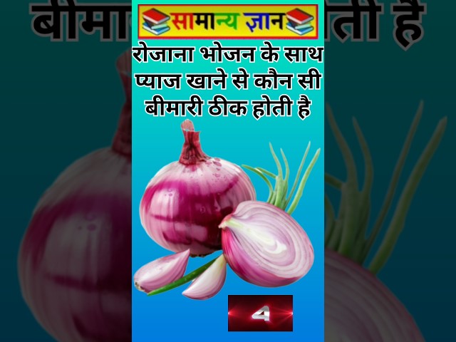 My Ultimate GK Exam Preparation Shopping Haul 2026 #StudyGram