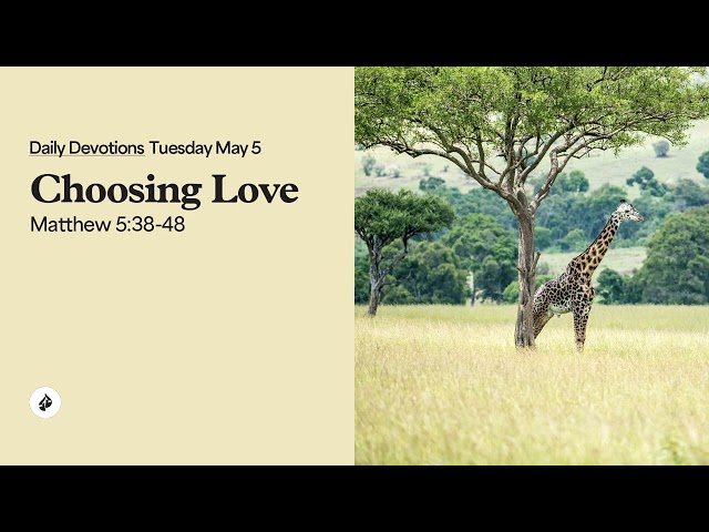 Choosing Love   – Daily Devotional