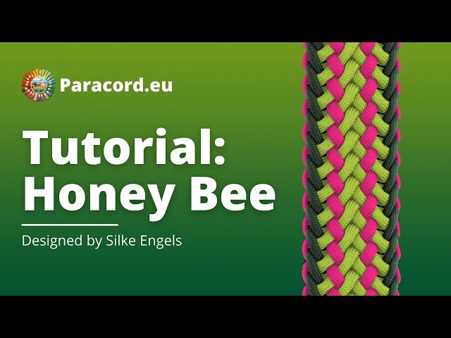 Paracord.eu | Honey Bee Knot | DIY Dog Collar | Paracord Tutorial For Beginners