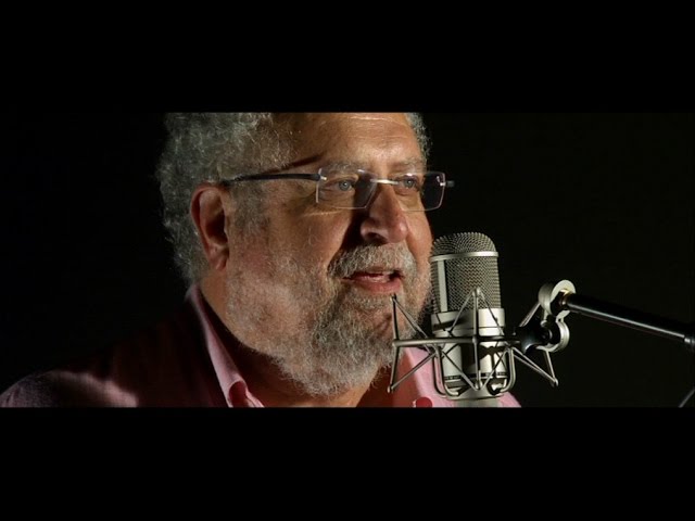 VOICES IN IMAGES - 20-minute summary