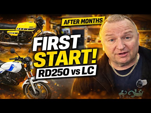 Yamaha RD LC Getting Started | Shed Extension Progress Update