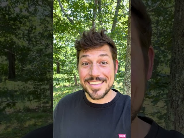 Unlocking 3D Model Optimization: Enhance Collaboration & Performance