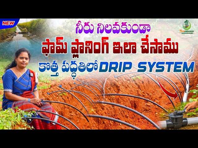 కొత్త పద్ధతిలో Drip System | నీరు నిలవకుండా Farm Planning | Drip Irrigation System | Farmer Sunanda