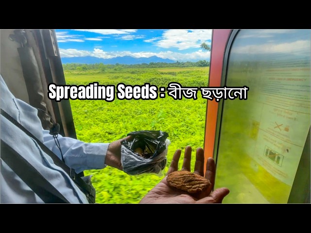 Throwing Seeds | বীজ ছড়ানো |  Spreading Green | Save Seeds - Throw Seeds Drive . Go Green #seeds