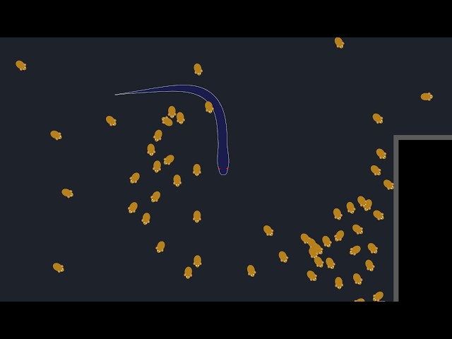 I Built a Custom Game Engine... Then My Code Melted My Brain