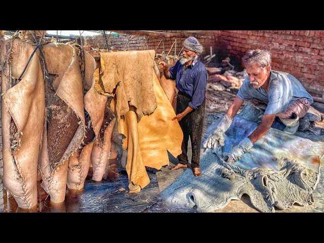 100 Years Ago How Leather Was Produced | Process From Cowhide To Leather