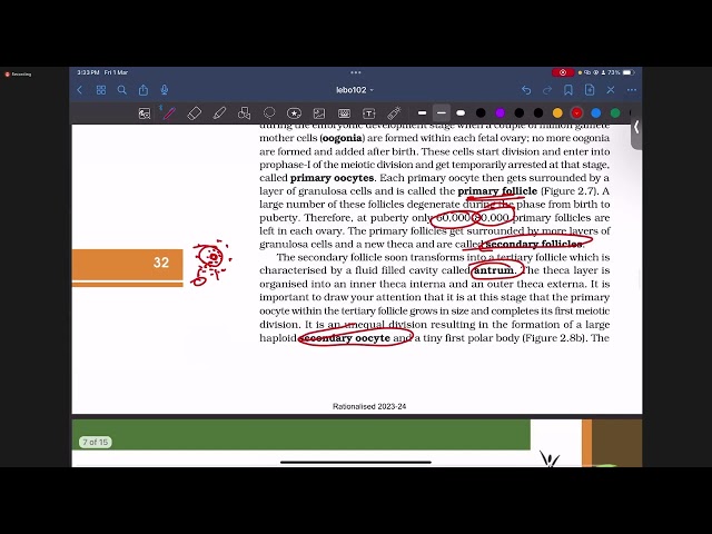 NCERT Solutions Class 12 Biology | Human Reproduction Part 3 | Mamalin Mohanty