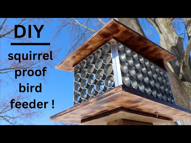 How to Make Your Own ● Unique Squirrel Proof Bird Feeder ( that actually works ! )
