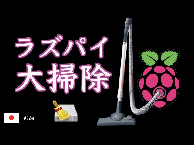 ラズパイも年末の大掃除