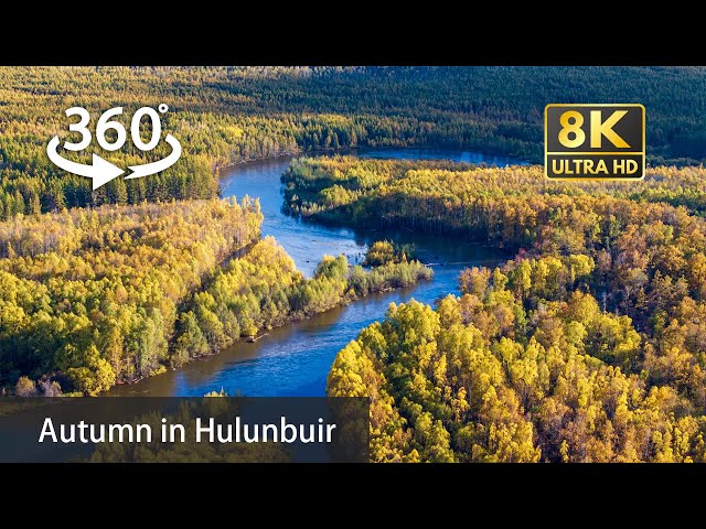 【VR360】China from Air: Autumn in Hulunbuir 呼伦贝尔之秋 | Inner Mongolia | 8K 360° Aerial Journey