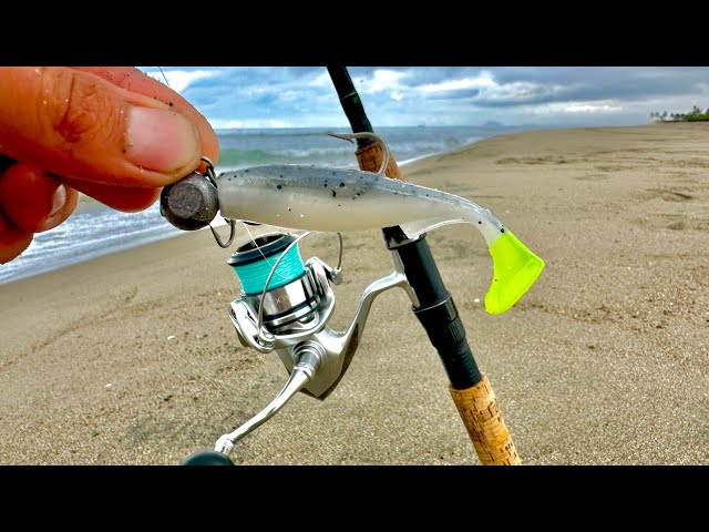HOW TO FISH FROM THE BEACH || FISHING TIPS || FISHING ADVICE.