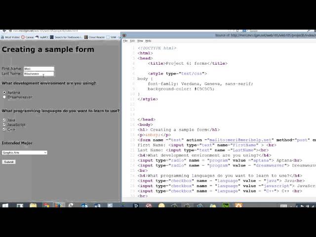 Web Fundamentals: HTML project 6: Forms