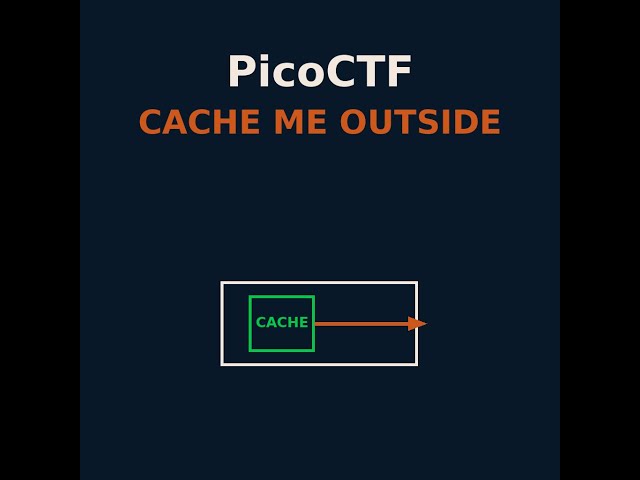 PicoCTF Cache me Outside Binary Exploitation challenge walkthrough - Write-What-Where & tcache.
