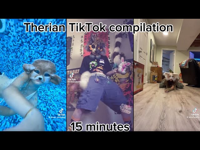 Therian TikTok comp #9. 15+ minutes of Therian TikToks