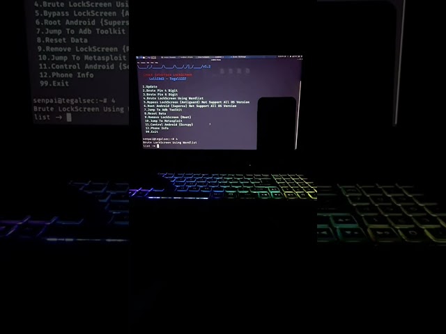 Brute-force 4 digit PIN using custom wordlist.