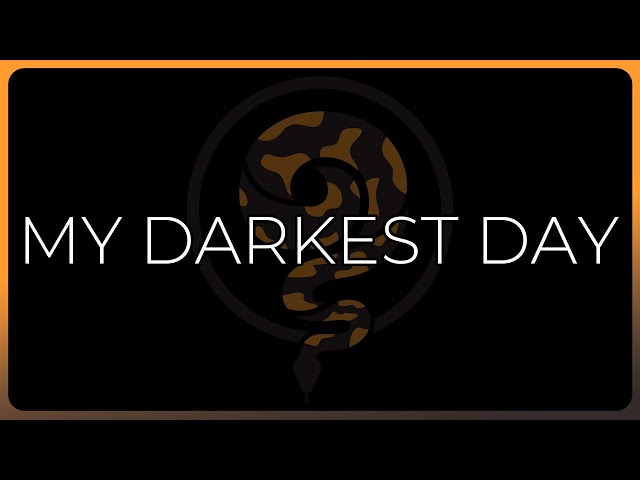 My Darkest Day as a Ball Python Breeder