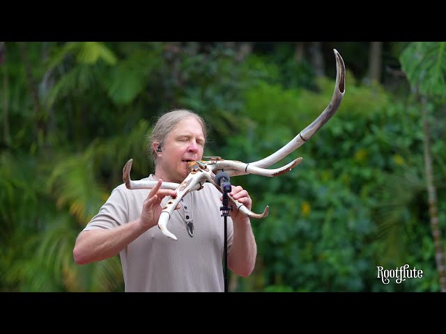 5 Chamber Rack Flute, 1 hour loop