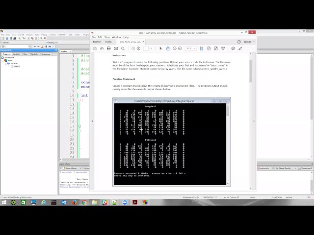 Partial 2D array homework solution