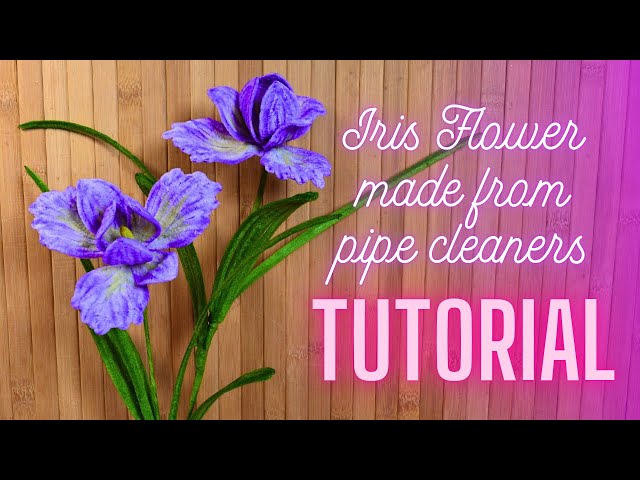 FREE tutorial - STEP by STEP guide how to make Iris flower from pipe cleaners