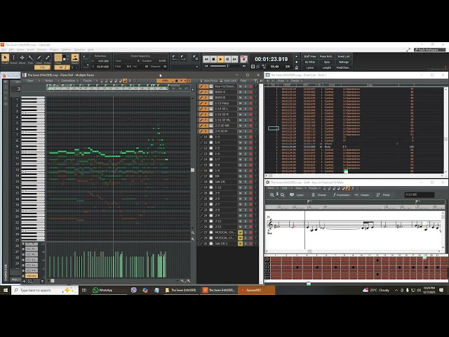 The Swan (HAUSER) (Midi Version)