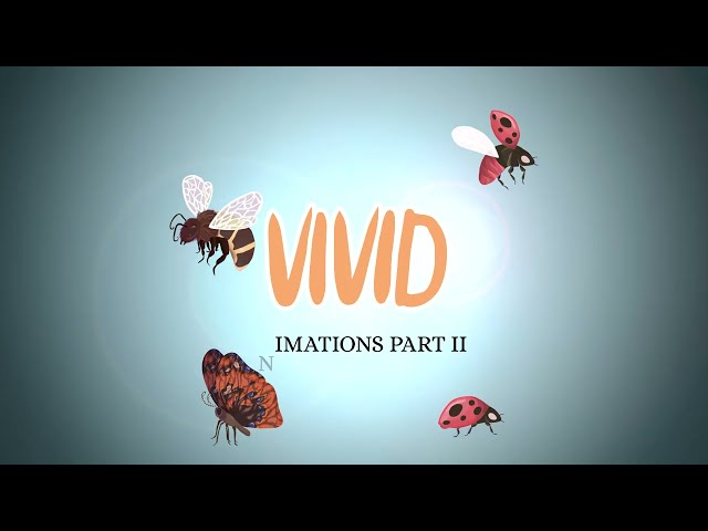 VIVID | Animation Process 2/2 – Bringing Insects to Life