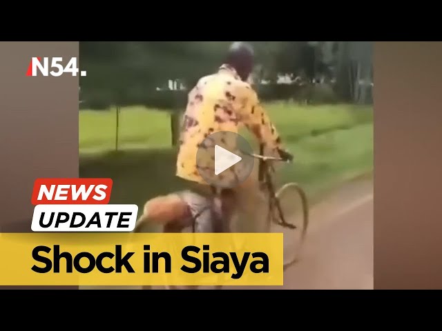 Charles Otieno Osore kills python for killing his dog, takes both to police station– News54