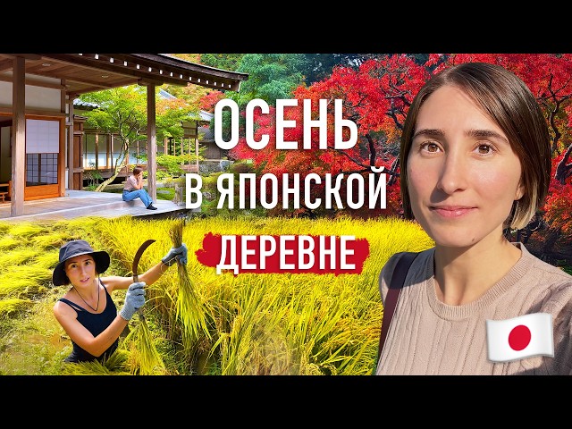 Осенняя рутина в японской деревне! Наша жизнь вдали от Токио