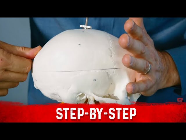 Amazing Skull Massage for a Deep Restful Sleep – Dr.Berg