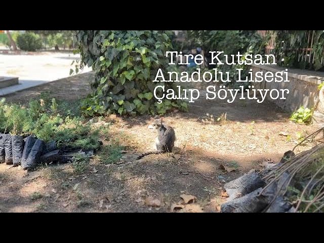 T. K. Anadolu Lisesi - B. Ö.- Sözlerimi Geri Alamam ve Athena - Ben Böyleyim (Cover Medley)