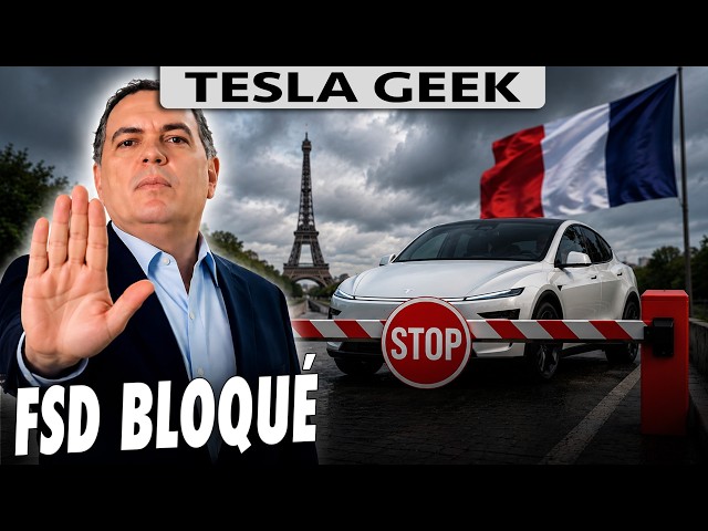 TESLA FSD: France says no to Dutch approval!