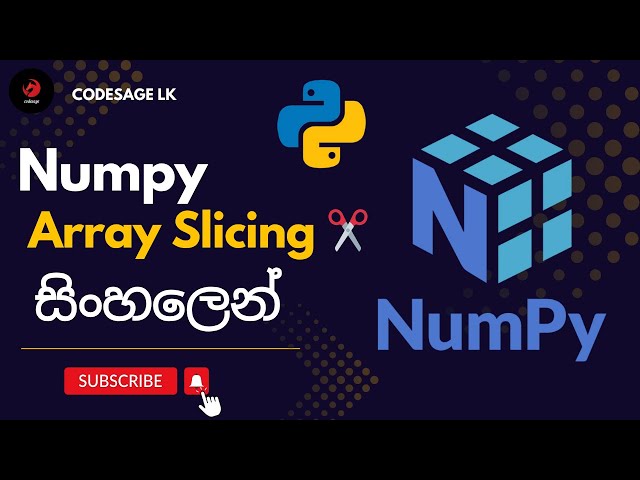 Python Numpy Tutorial 03 |  Array Slicing ✂️ | Sinhala