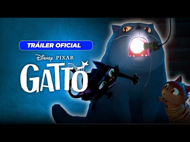 GATTO | TRAILER