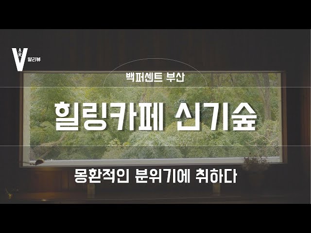 [부산 핫플레이스] 힐링카페 영도 신기숲의 몽환적인 분위기에 취하다