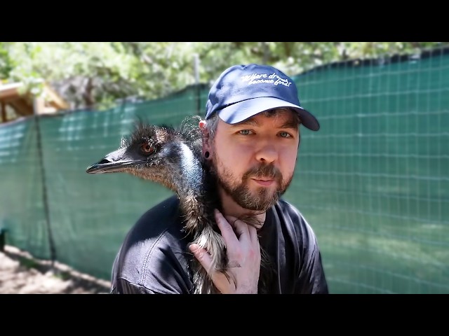 Meeting Animals I've Never Seen Before