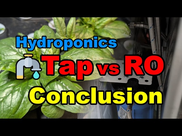 Can Tap Water Replace RO? Hydroponic Spinach Experiment - Conclusion