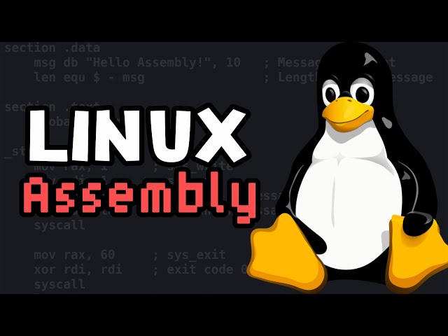 How to Run Assembly Code on Linux | NASM Step-by-Step Tutorial