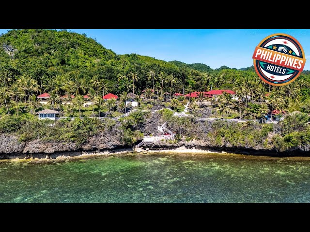 Blue Star Dive Resort | Bohol, Philippines | Hotel Review 🏨