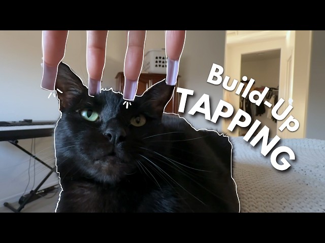 ASMR | Build-Up Tapping & Scratching 
