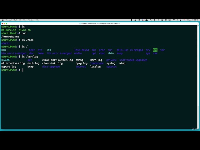 ВВЕДЕНИЕ | BASH SCRIPTING | УРОК 1