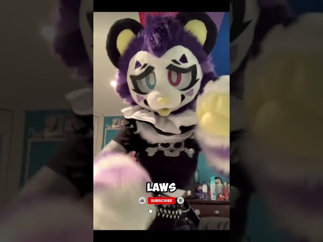 ¿Podría ser FURRY costarte el trabajo? #furry #fursuit #empleo