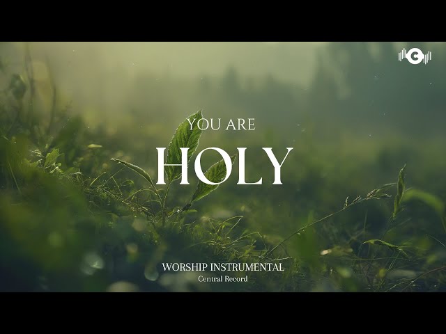 YOU ARE HOLY - Soaking worship instrumental | Prayer and Devotional