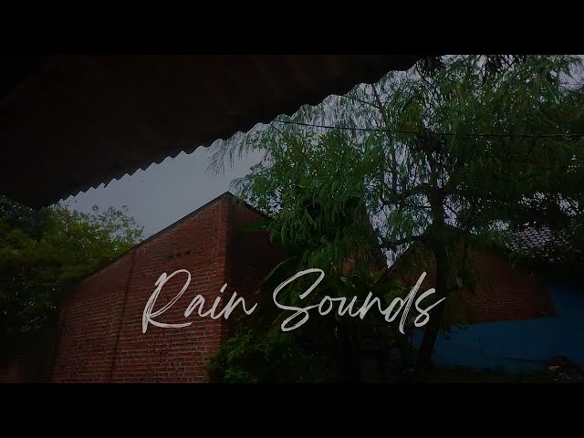 Rain on the Roof – Sleep Instantly | Rain Sounds for Deep Sleep, Stress Relief, and Meditation ASMR