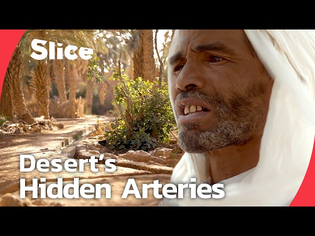 How Moroccan Oases Survive ? The Khettara Underground Irrigation System | SLICE