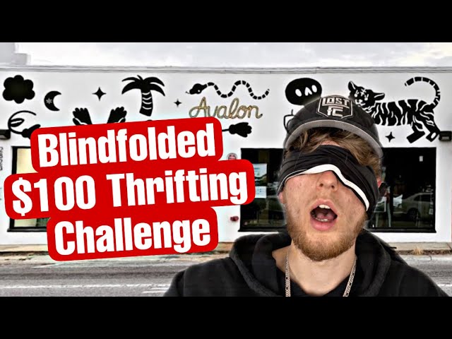 $100 Blindfold Thrifting Challenge