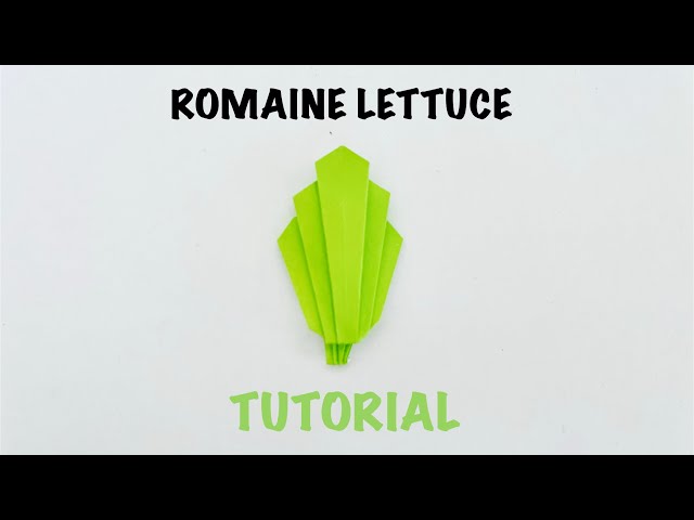ORIGAMI ROMAINE LETTUCE 🥬 | FOLD ME A LITTLE LETTUCE 🥬