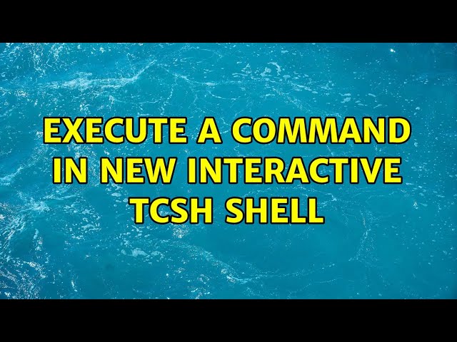 Execute a command in new interactive tcsh shell