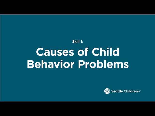Behavior Basics Skill 1: Causes of Child Behavior Problems